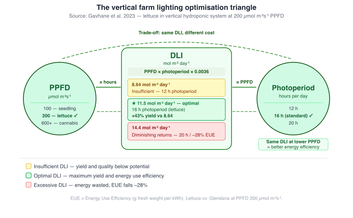 DLI optimisation triangle