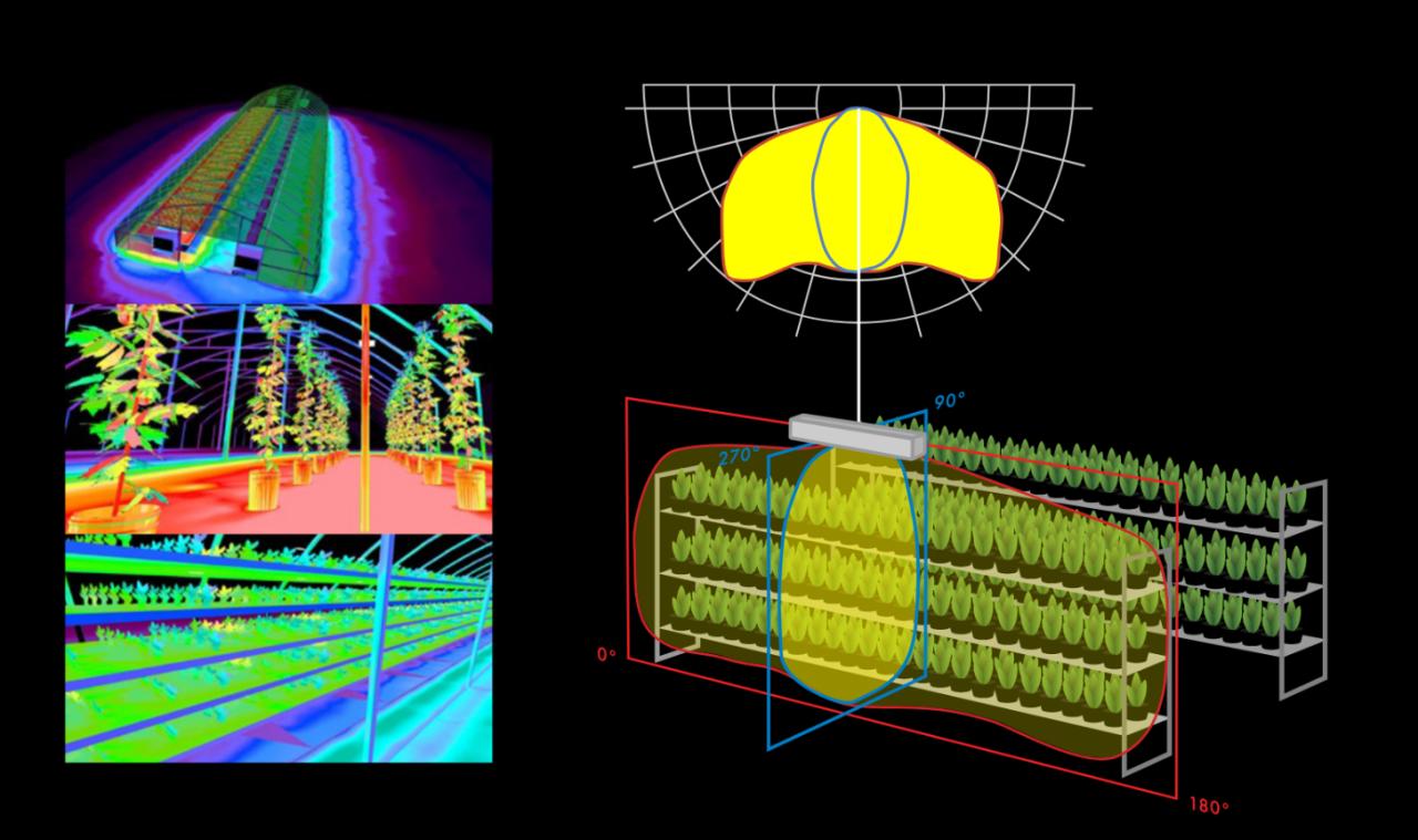 Caption: Specialized horticulture optics from LEDiL improve photon placement efficiency, PPFD uniformity, and canopy interception.