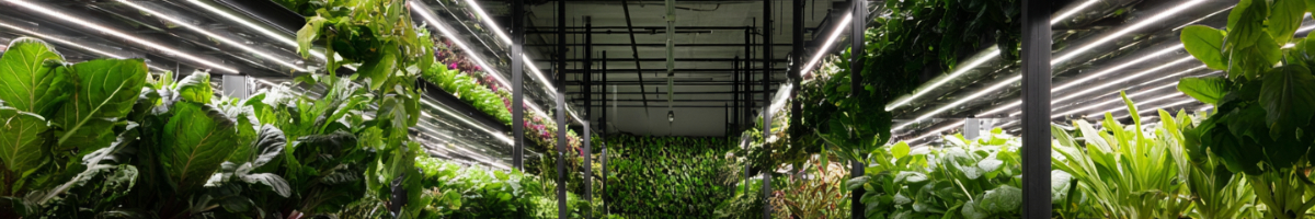 LED Lifetime and TCO for Greenhouse Operators: Full Guide for Grow Lights