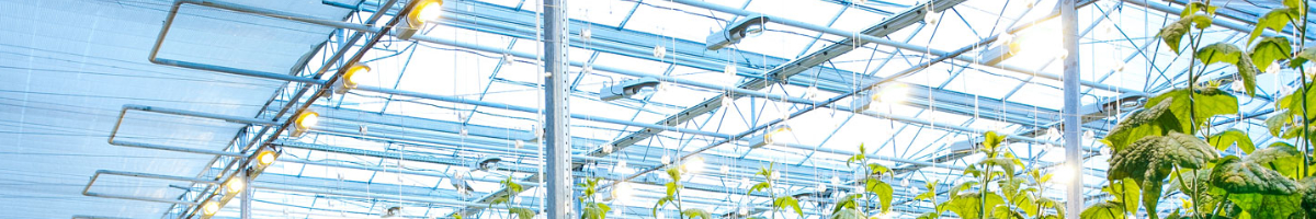 Optics for Horticulture Applications