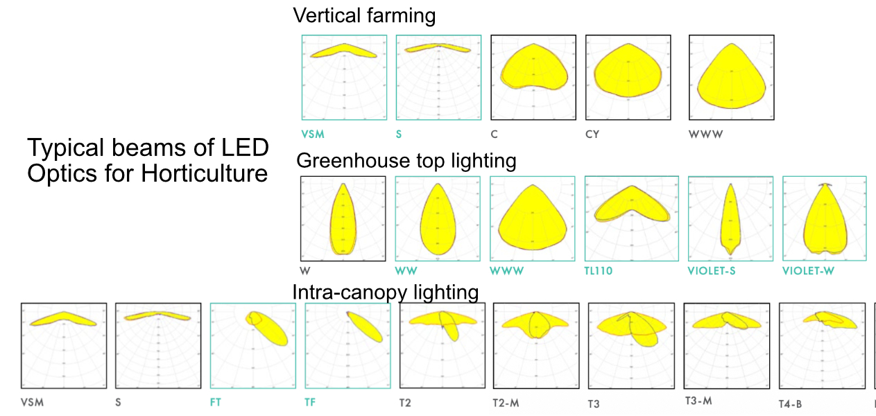 Specialized horticulture optics from LEDiL improve photon placement efficiency, PPFD uniformity, and canopy interception.