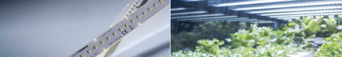 High performance Horticulture lighting with LinearZ LED Modules